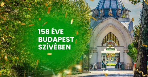 Állatkert születésnapja