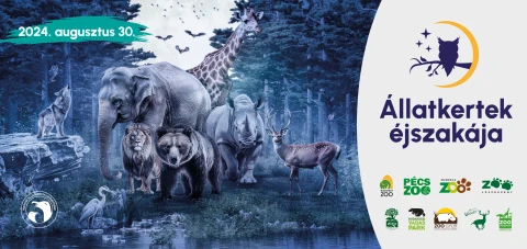 Állatkertek éjszakája - Fővárosi Állat és Növénykert