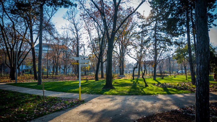The botanical garden, another adventure park for dogs and a two-kilometre circular running track have been completed in the City Park