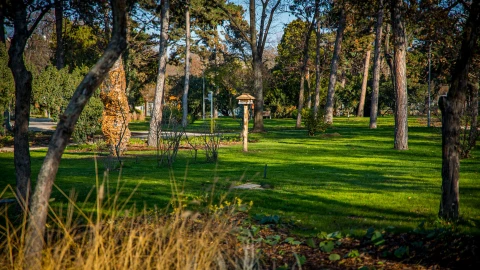 Elkészült a botanikus kert, egy újabb kutyás élménypark és a két kilométeres futókör is a Városligetben