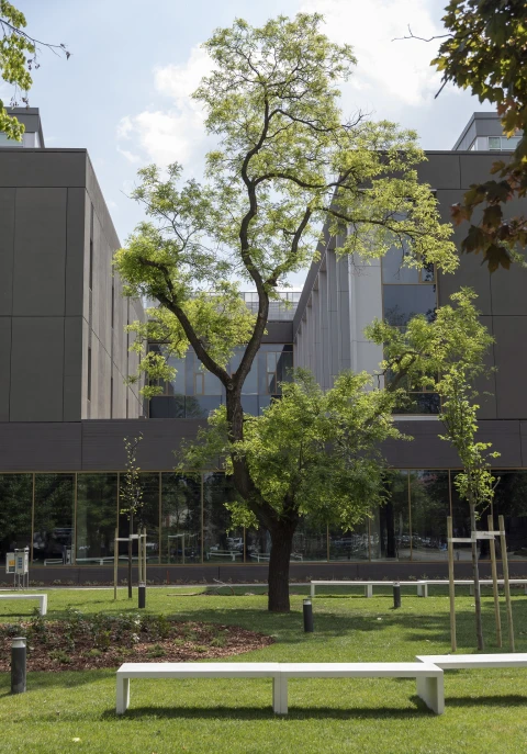 Új park jött létre Városliget közelében