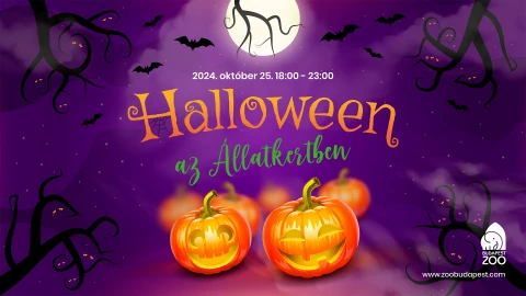 Halloween az Állatkertben