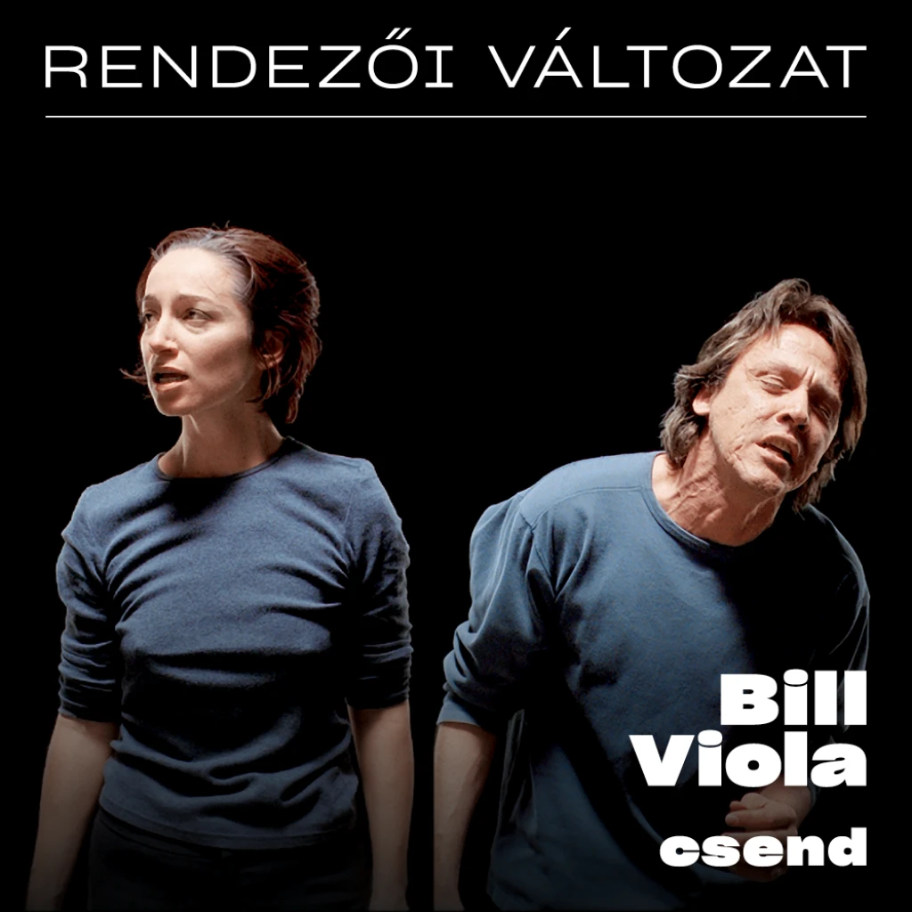 RENDEZŐI VÁLTOZAT | Petrányi Zsolt kurátori előadása Bill Viola Csend című kiállításáról