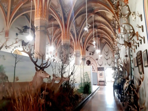 A vadászat aranykora Magyarországon