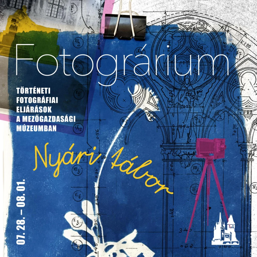 Fotográrium – Nyári tábor a Vajdahunyadvárban