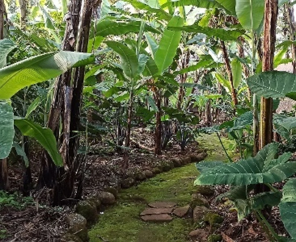 Ethnography and Archaeology in the Kilimanjaro and Meru Region