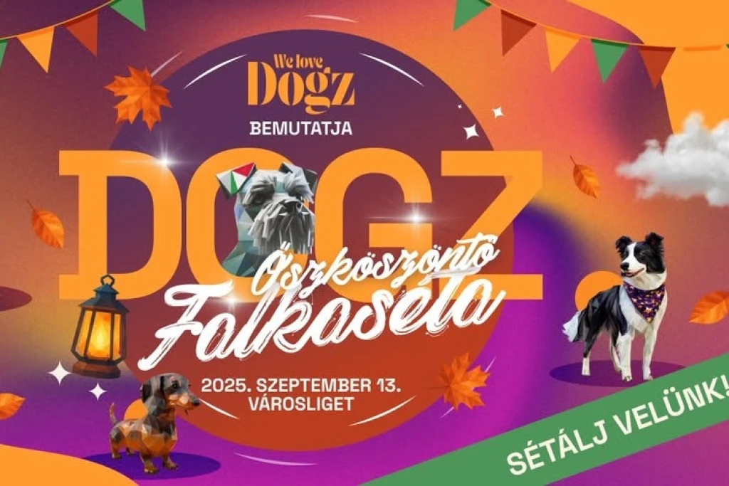DOGZ Őszköszöntő Falkaséta