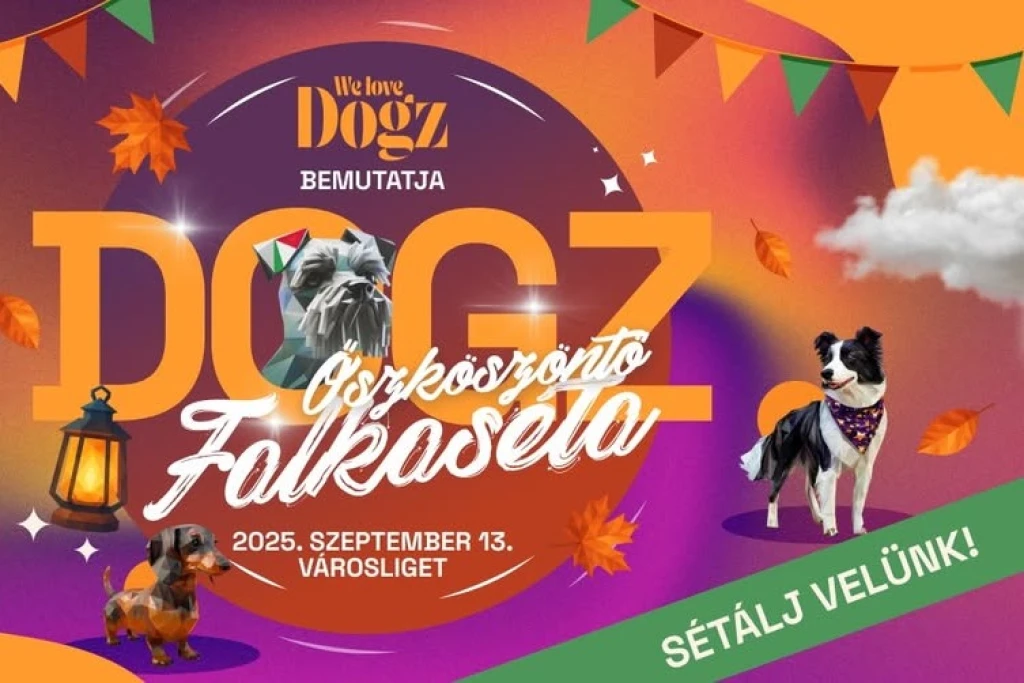DOGZ Őszköszöntő Falkaséta