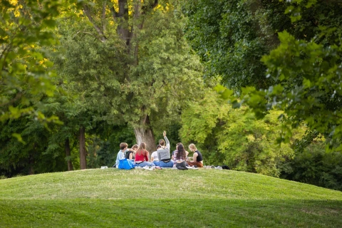 Green surface increased in the City Park. Asphalt already being broken up