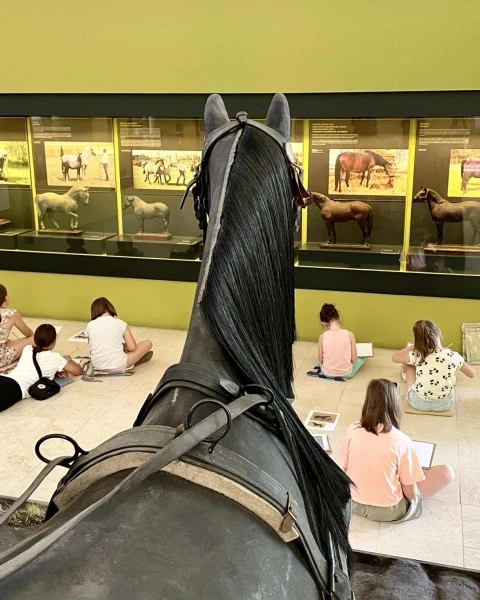 Díjmentes tárlatvezetések a Mezőgazdasági Múzeumban