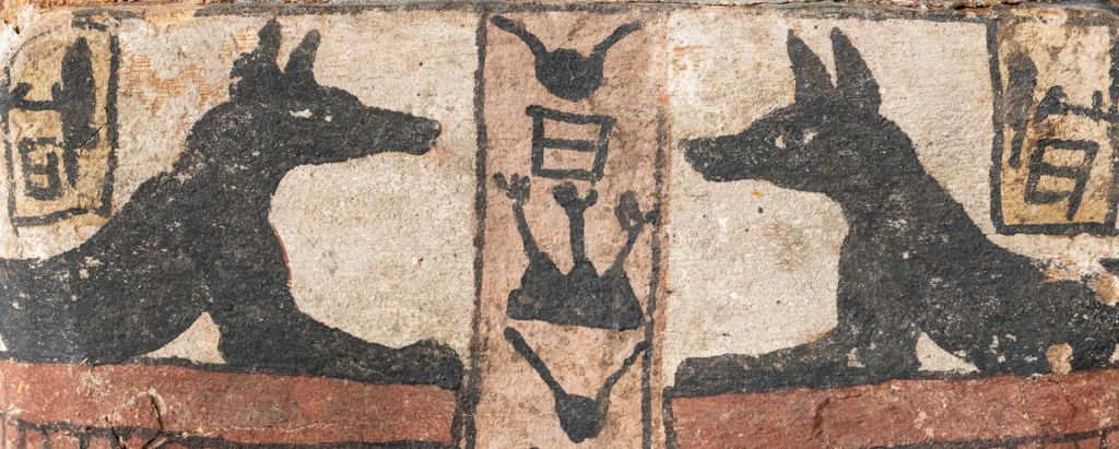 Egy balzsamozó titokzatos élete - Múzeumi Szünetelő