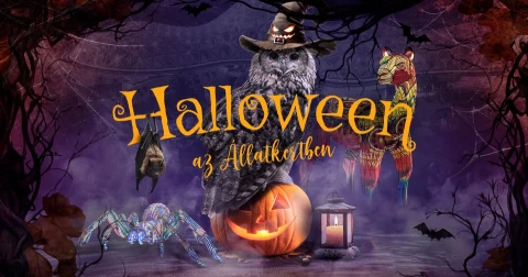Halloween az Állatkertben