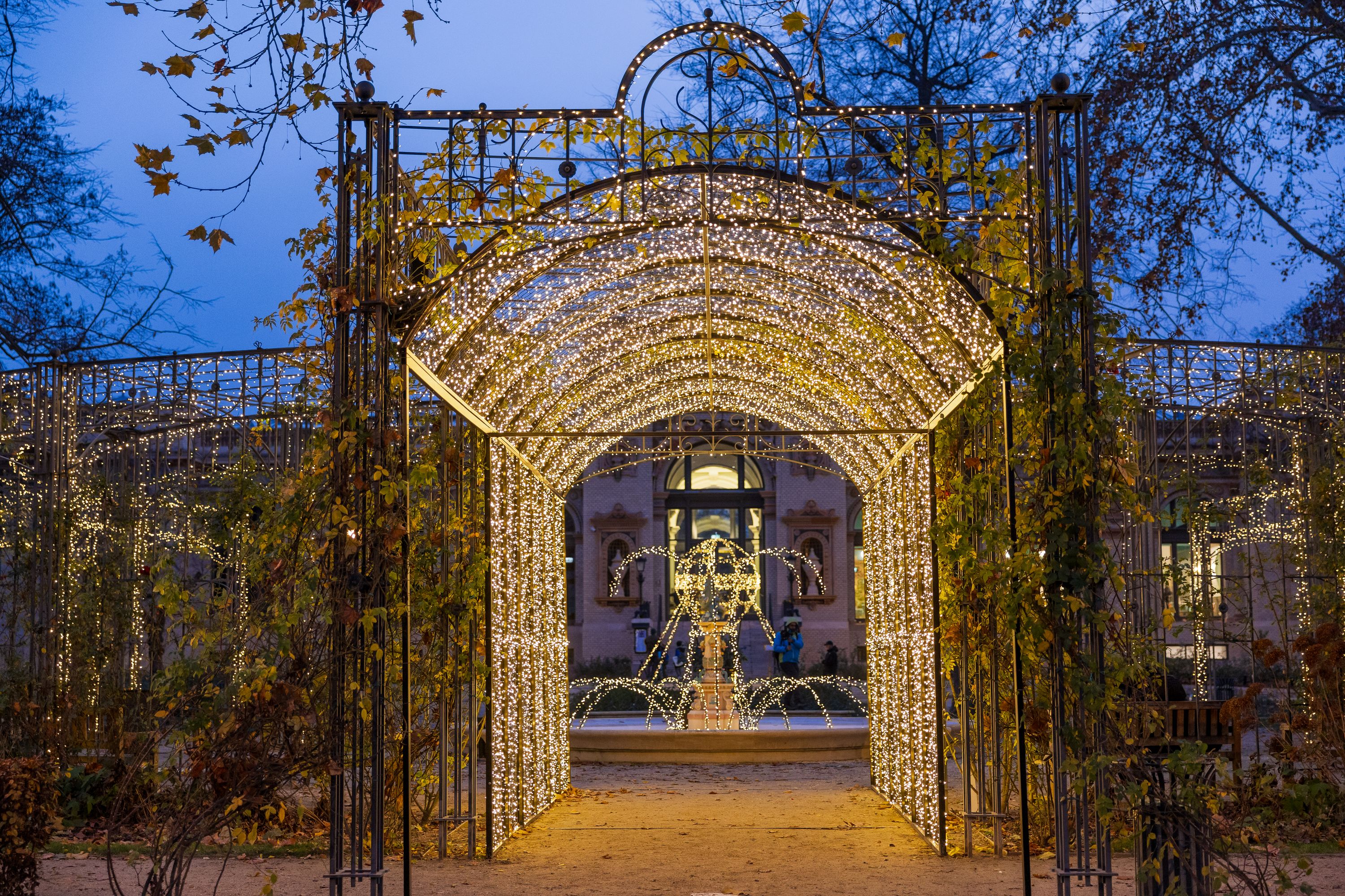 Fények kertje a Ligetben Galéria kép 0