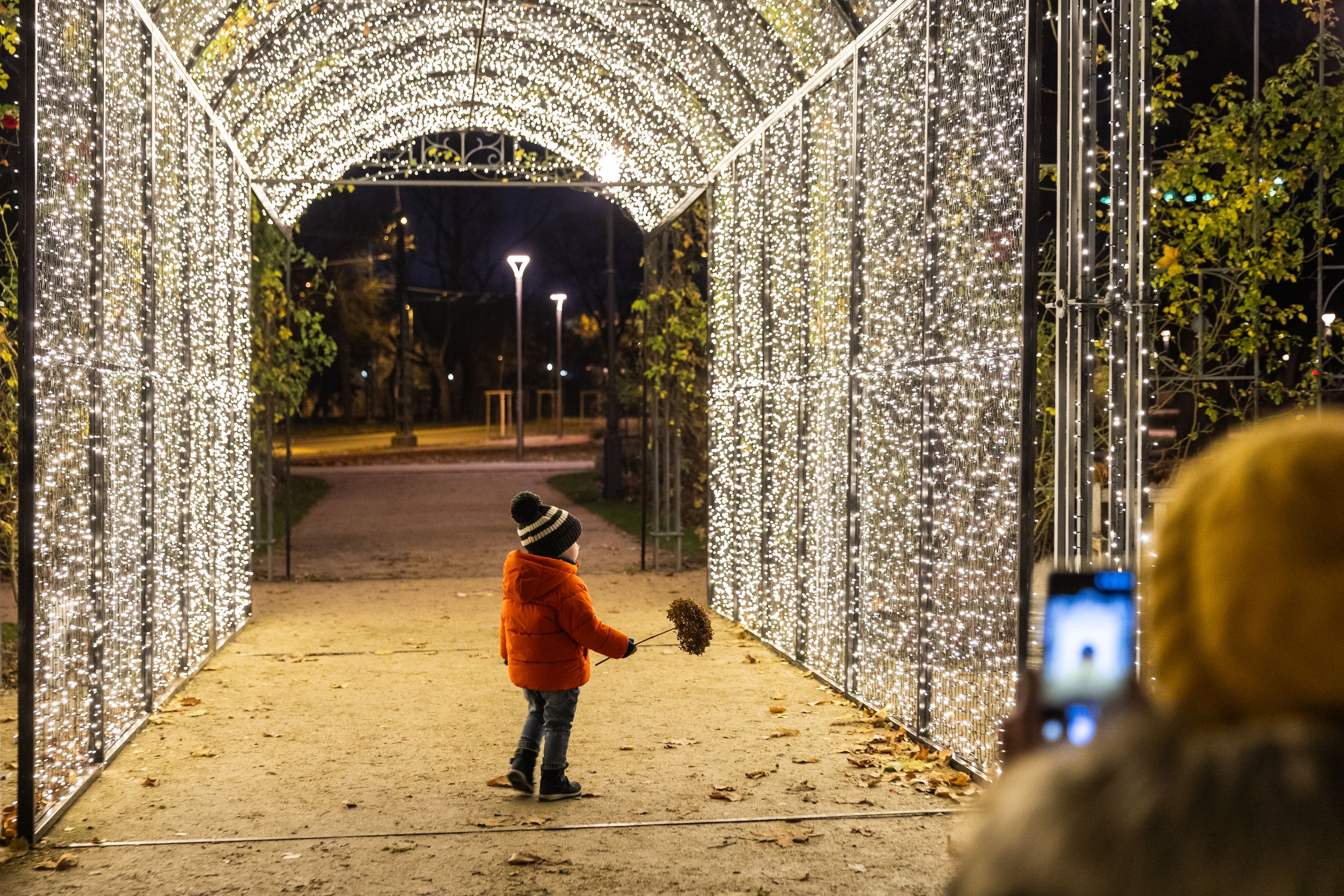 Fények kertje a Ligetben Galéria kép 1