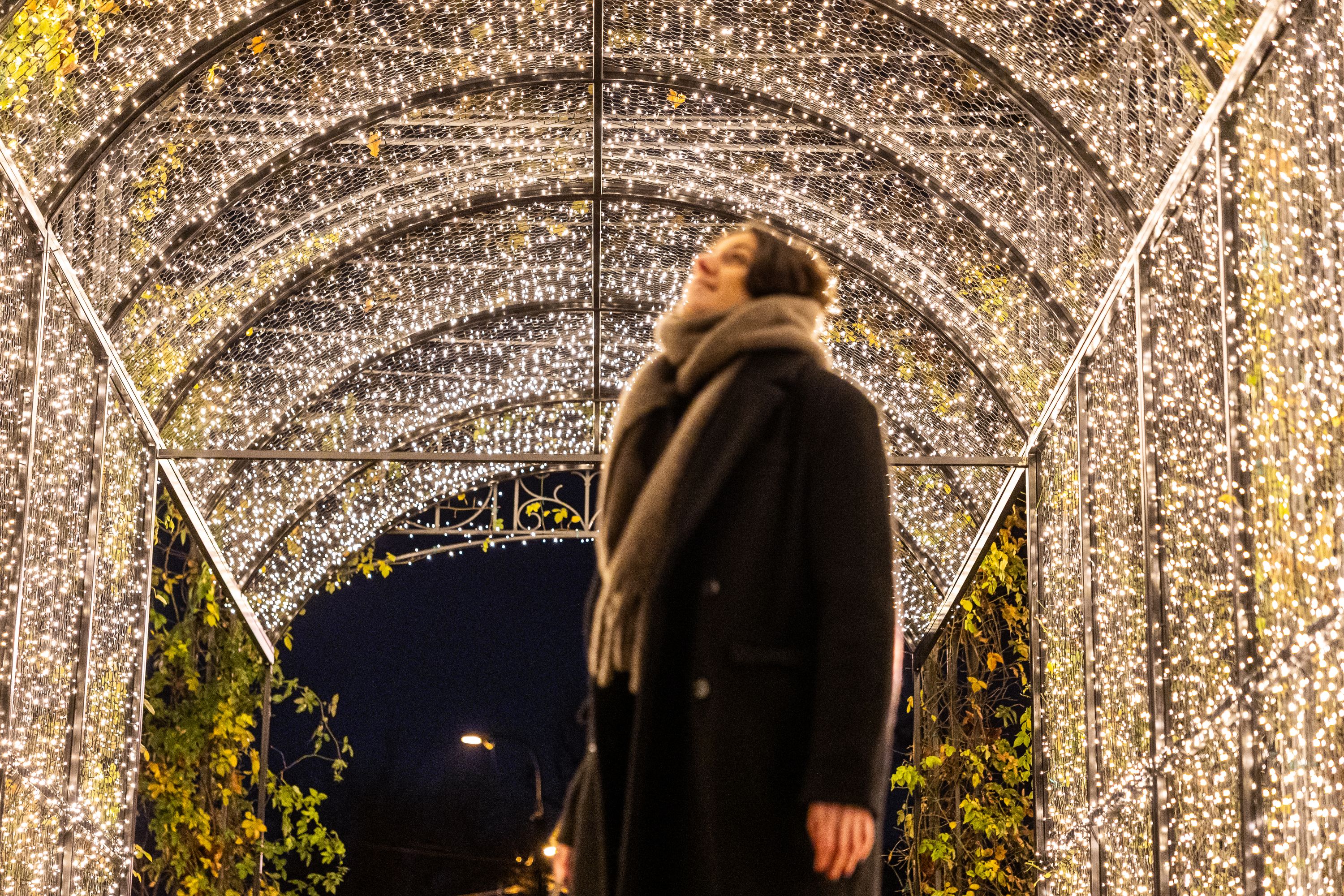 Fények kertje a Ligetben Galéria kép 2