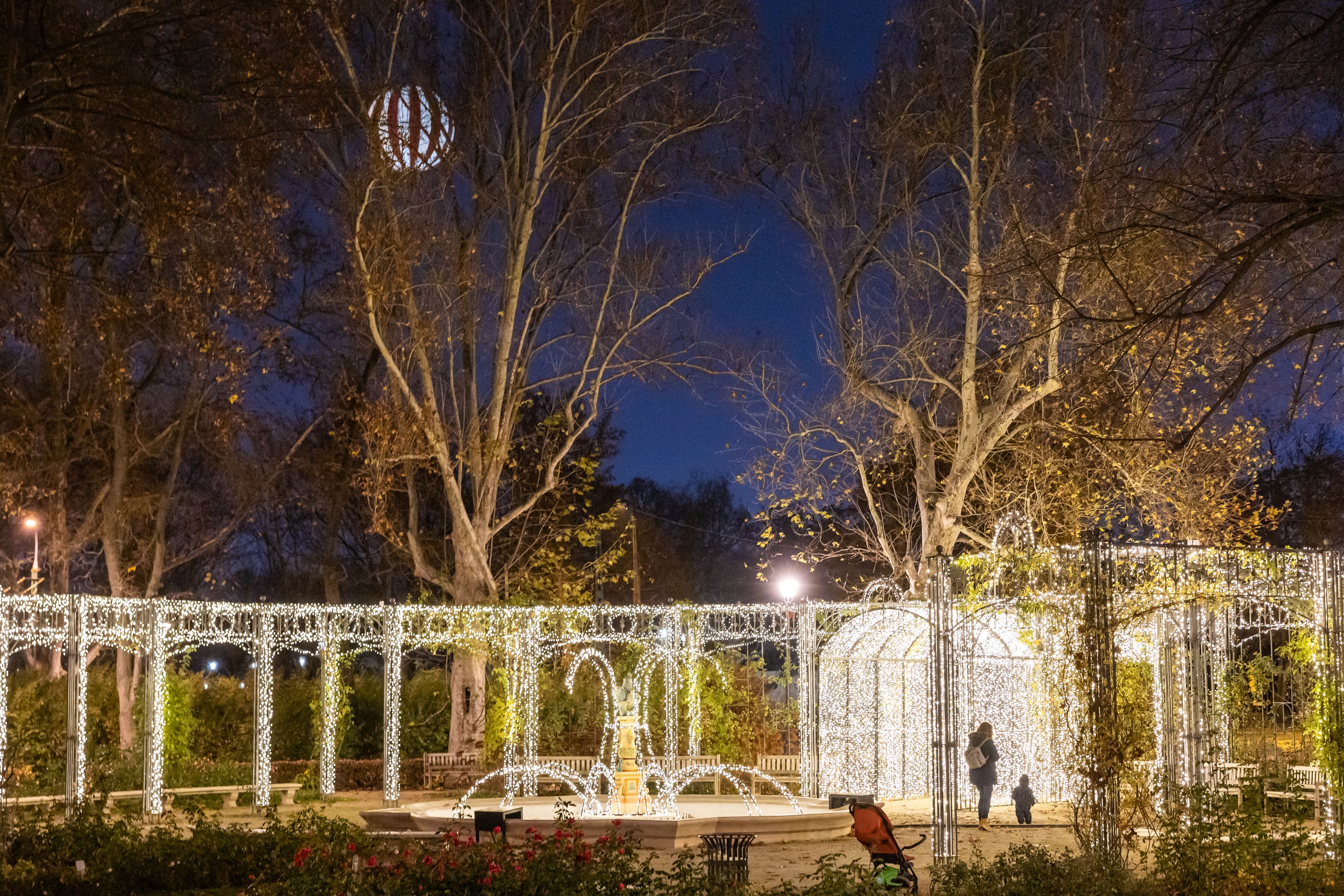 Fények kertje a Ligetben Galéria kép 5