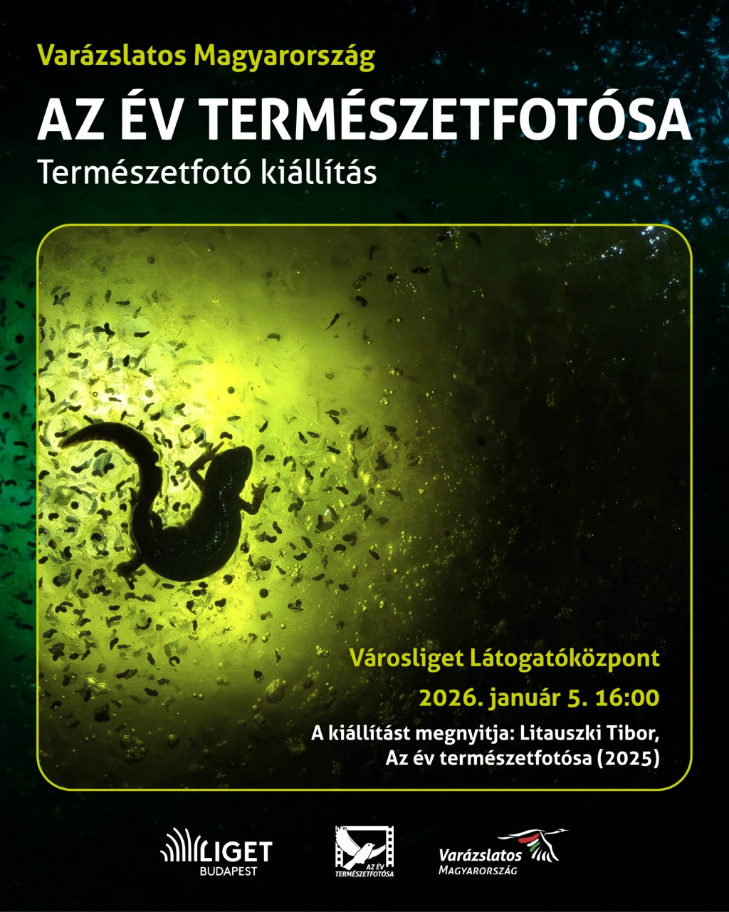 Az év természetfotósa kiállítás - Természetfotó kiállítás - ingyenes