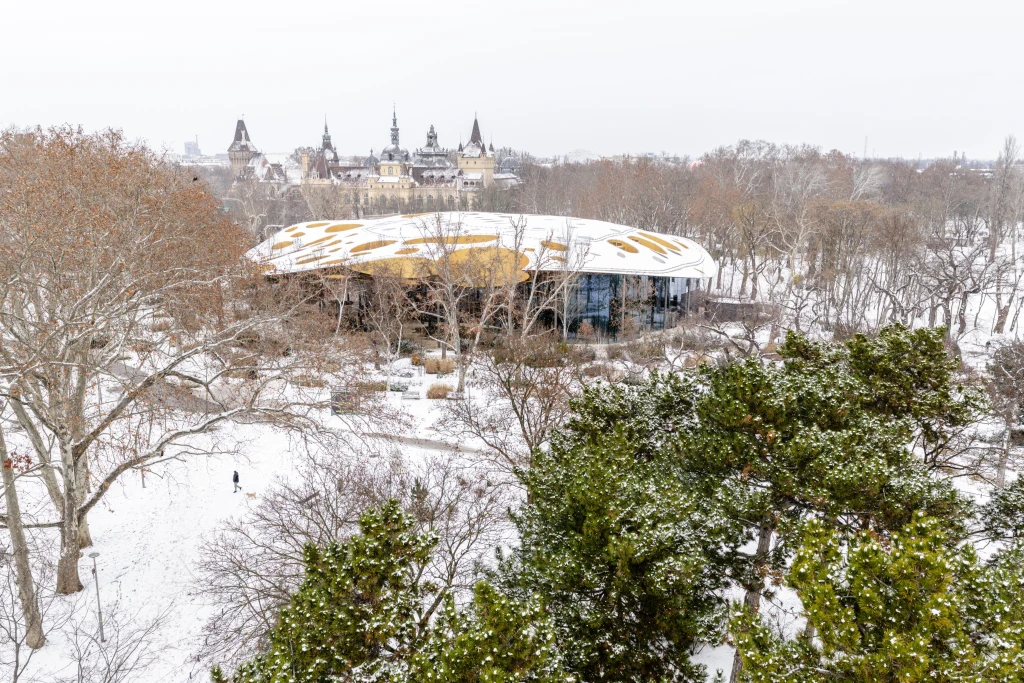 Izgalmas kiállításokkal kezdődik az év a Ligetben