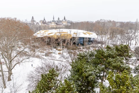 Izgalmas kiállításokkal kezdődik az év a Ligetben