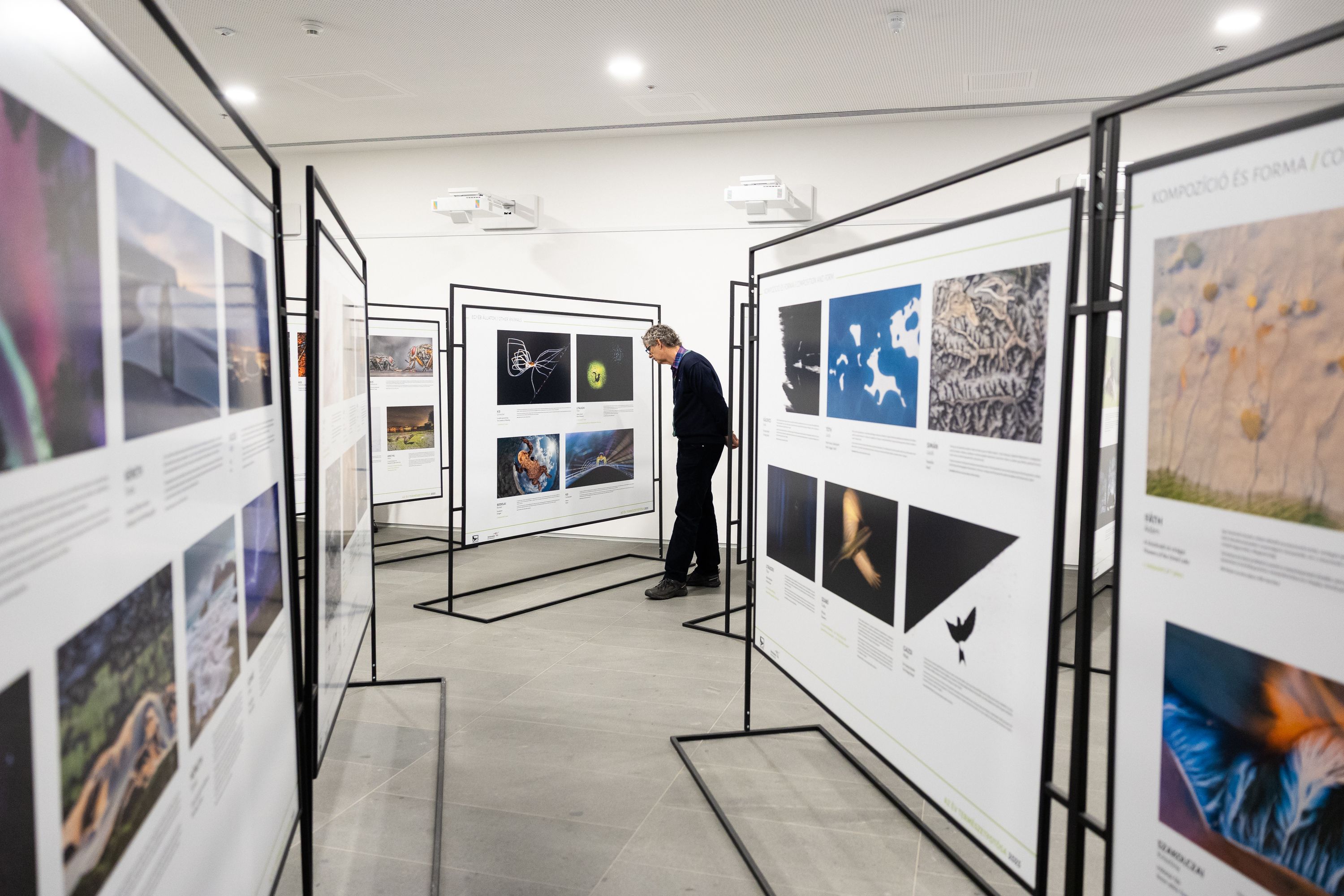 Az év természetfotósa - Tárlatvezetés Galéria kép 4