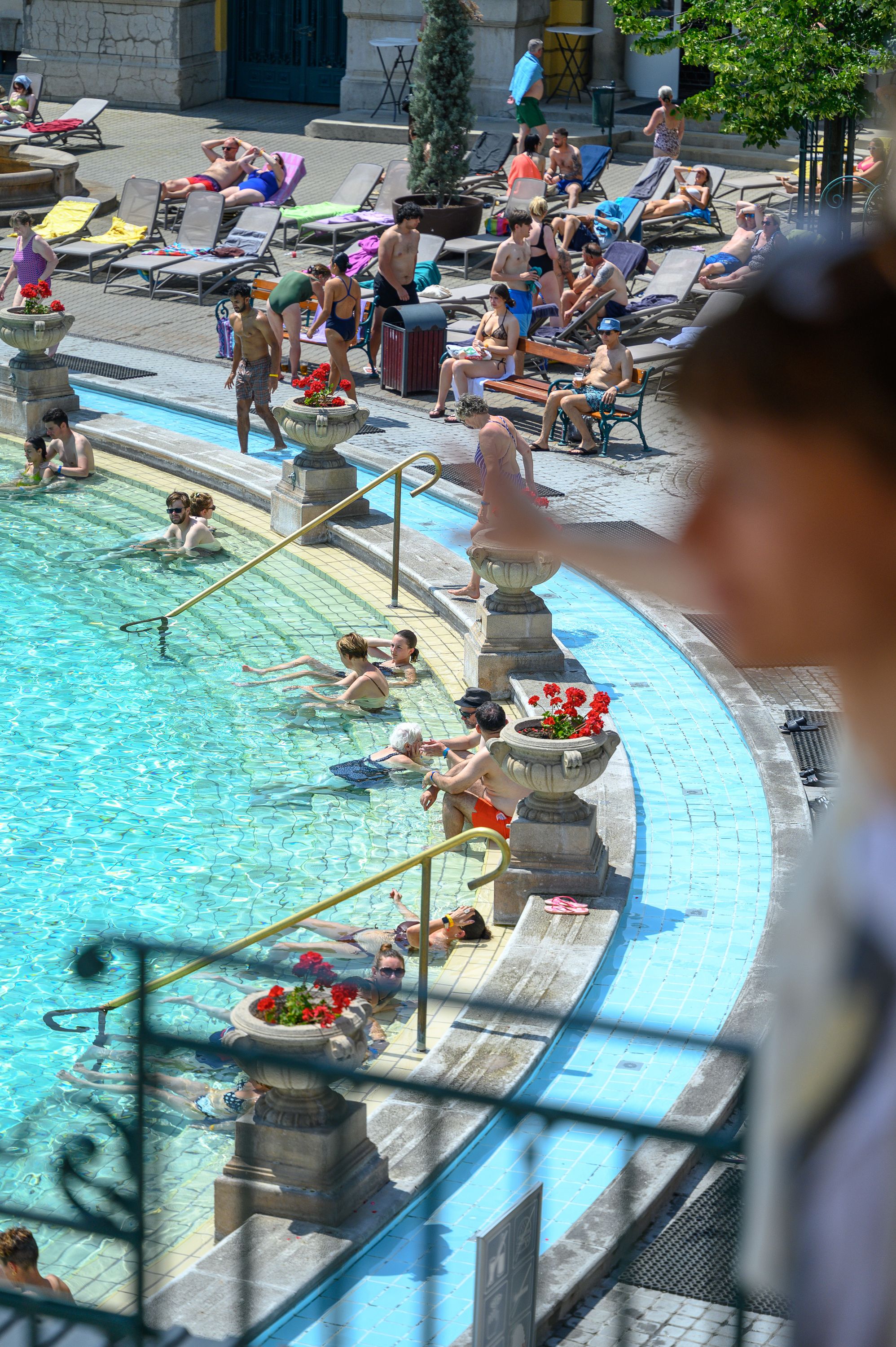 Széchenyi Gyógyfürdő és Uszoda séta Galéria kép 2