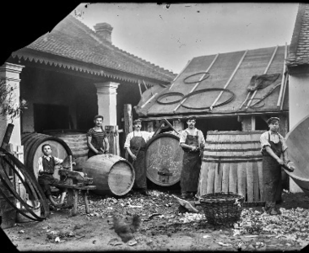 Kurátori tárlatvezetés a Vágatlanul c. kiállításban