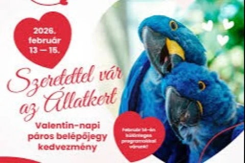 Valentin-napi páros kedvezmény az Állatkertben