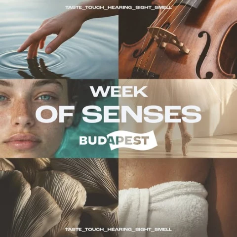 Feltöltődés Hete – Week of Senses