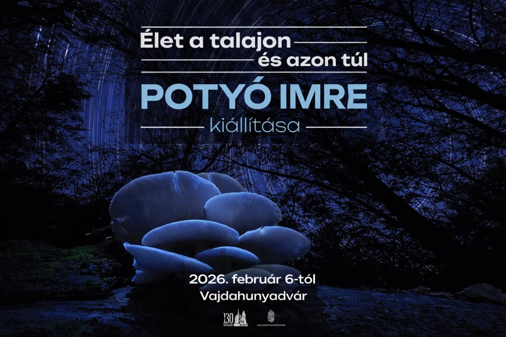 Élet a talajon és azon túl – Potyó Imre természetfotós kiállítása