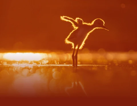 Varázslatos Magyarország 2026