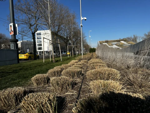 Megkezdődtek a tavaszi munkák a parkban