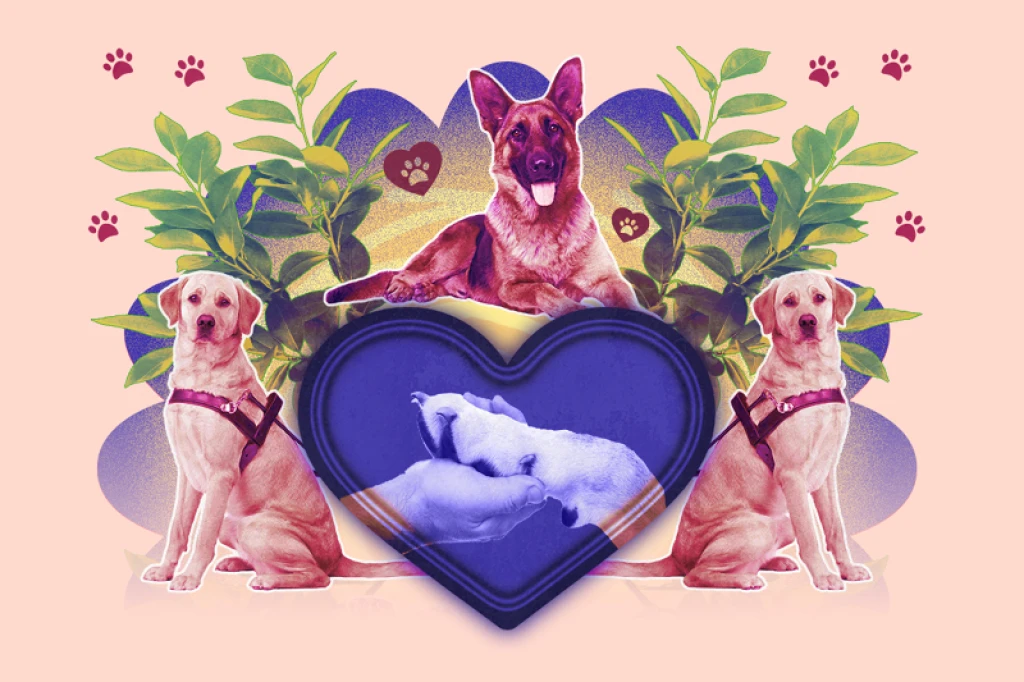 Színes családi vasárnap | Segítő mancsok