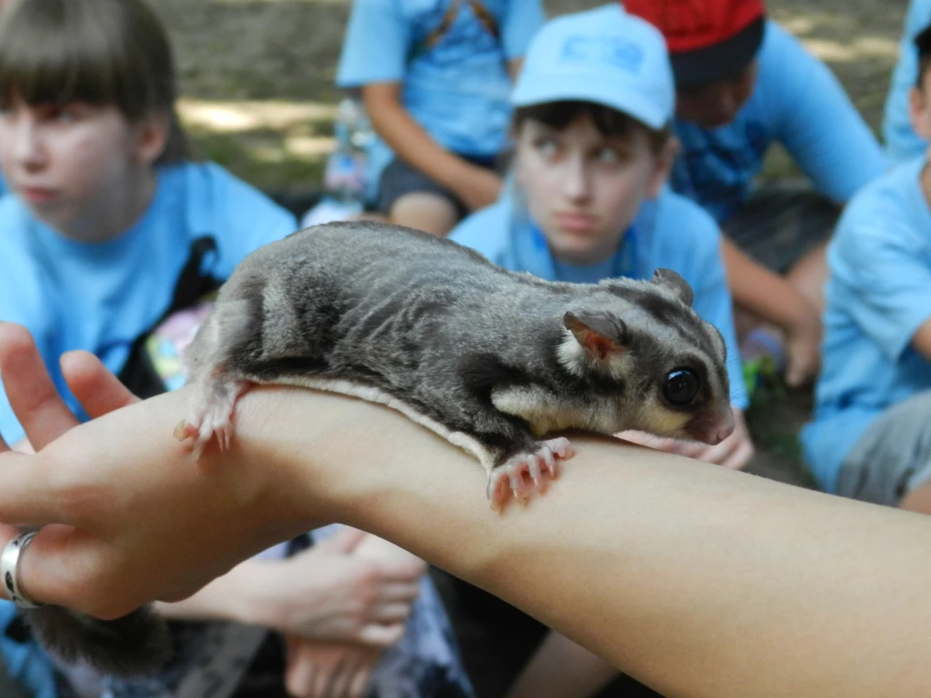 ZOO tábor