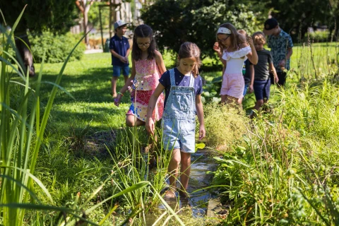 Vágatlan május a parkban