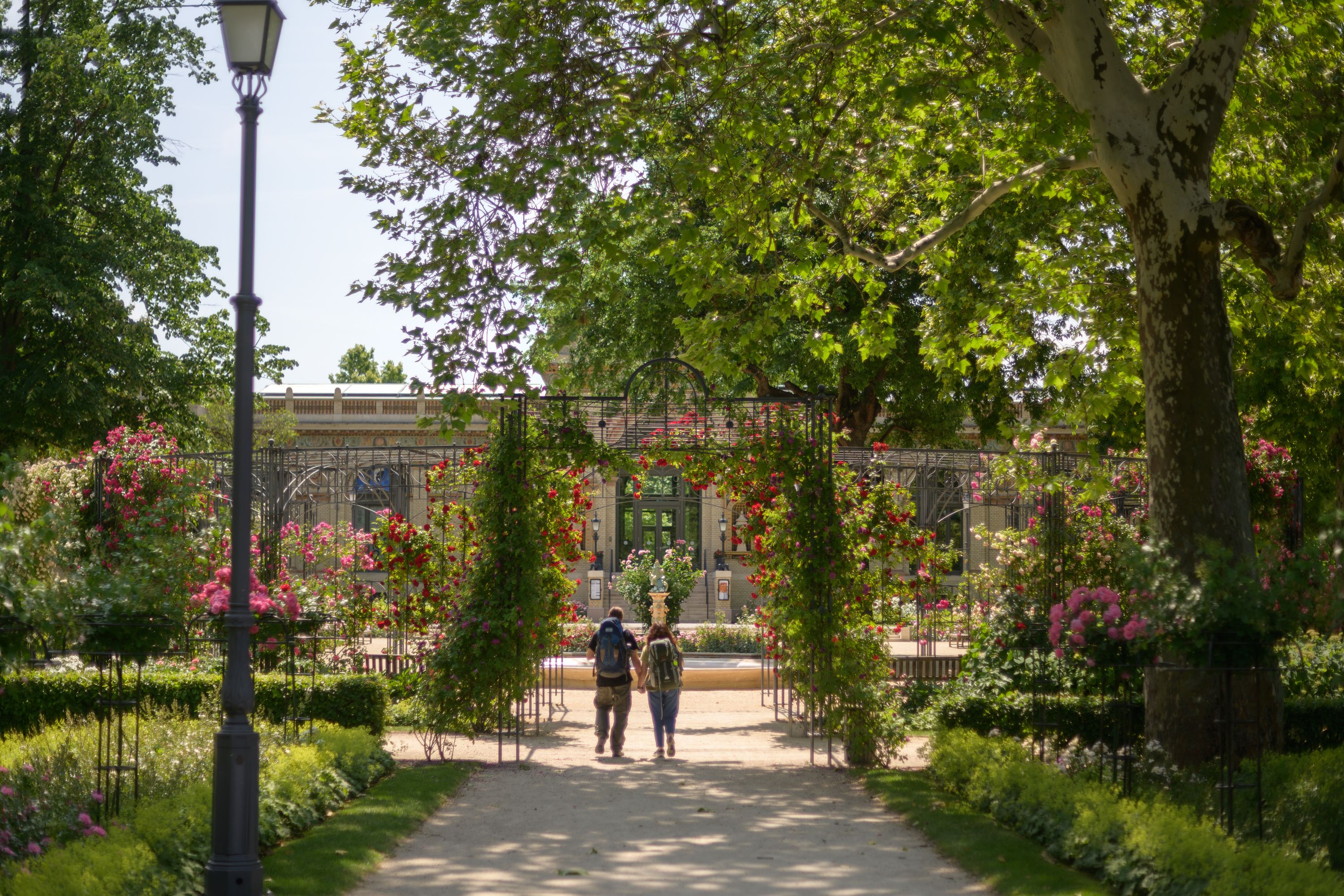 copyright_LIGET-BUDAPEST_Szabó-Bence_-Rózsakert-6.jpg