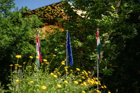 Augusztus 20-án is találkozzunk a ligetben!