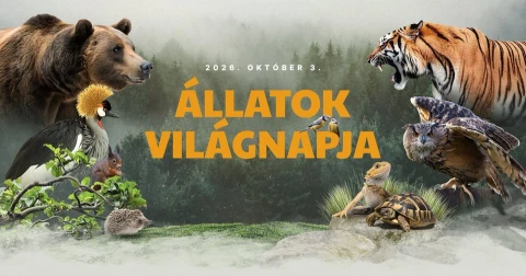 Állatok világnapja - Állatszeretet ünnep