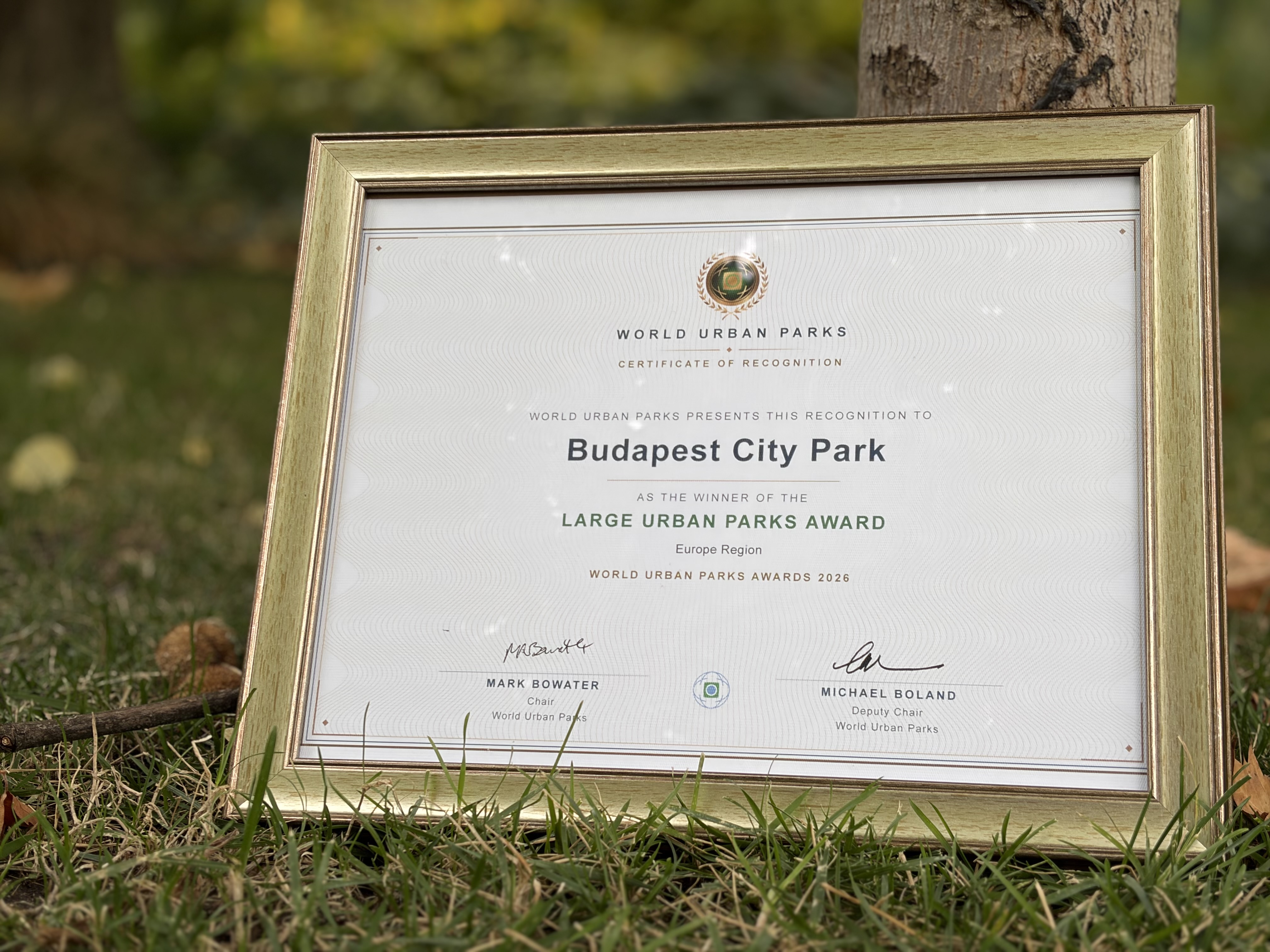 Galéria kép 1
