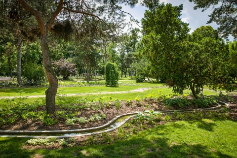 Mőcsényi Mihály botanikus kert