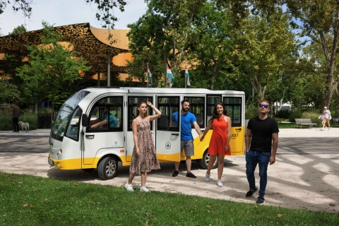 Services for visitors: electric buses