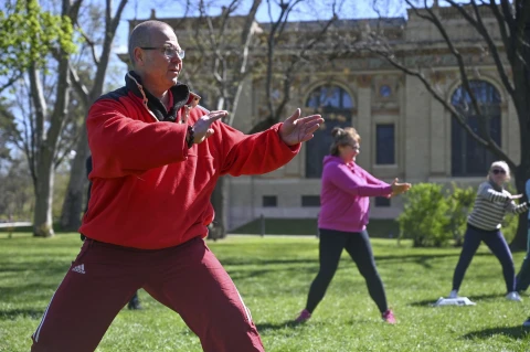 Tai chi a Ligetben