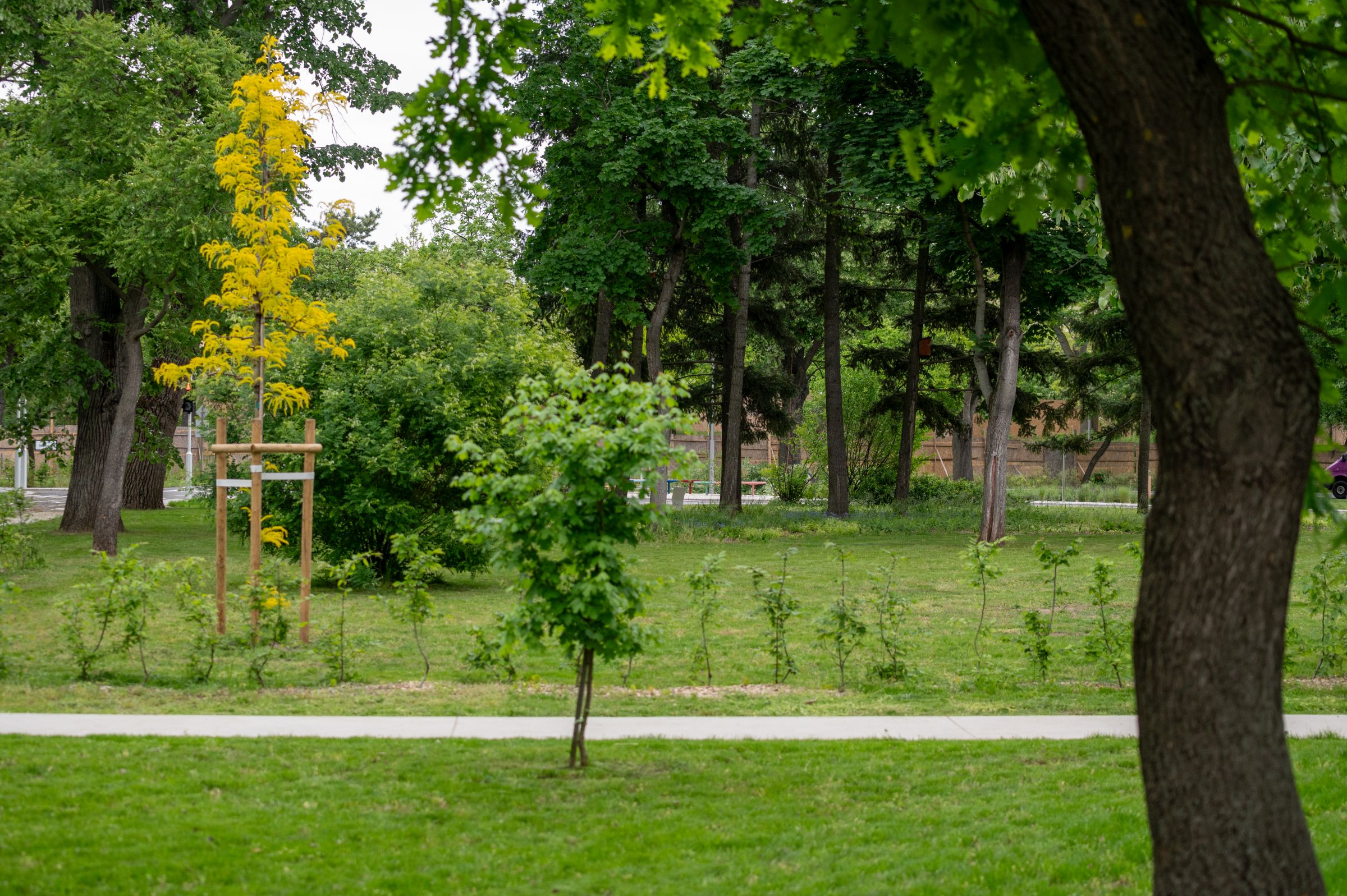 copyright_LIGET-BUDAPEST_Hajdu-János_HJP_4170.jpg
